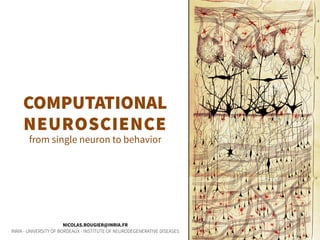 COMPUTATIONAL 
NEUROSCIENCE 
from single neuron to behavior
NICOLAS.ROUGIER@INRIA.FR
INRIA - UNIVERSITY OF BORDEAUX - INSTITUTE OF NEURODEGENERATIVE DISEASES
 