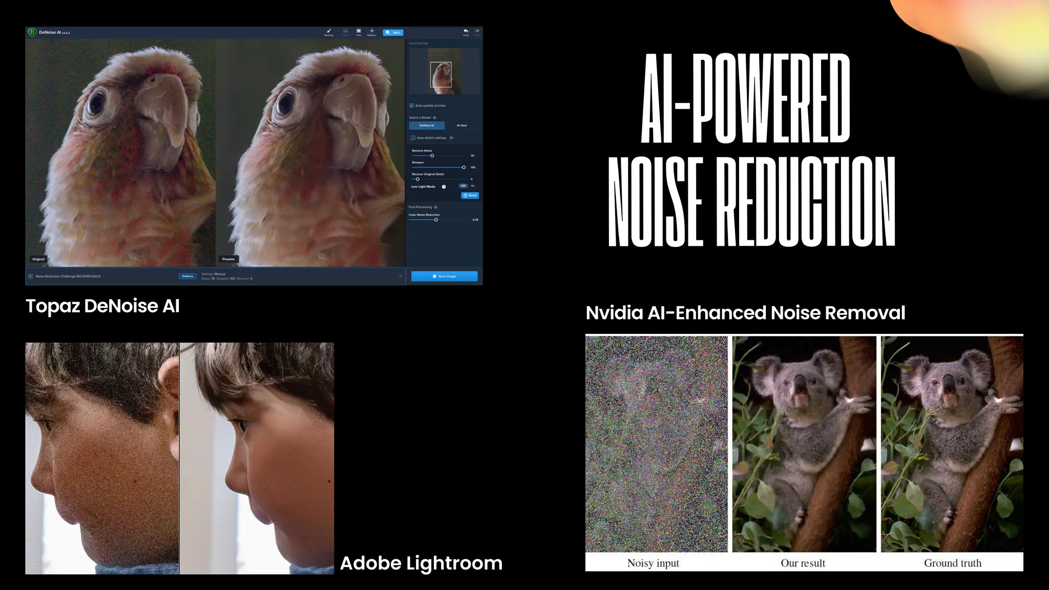 Topaz DeNoise AI Nvidia AI-Enhanced Noise Removal
Adobe Lightroom