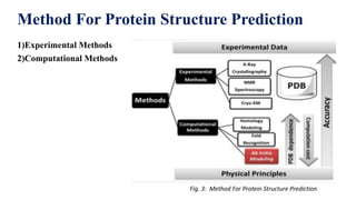 Computational Prediction Of Protein-1.pptx