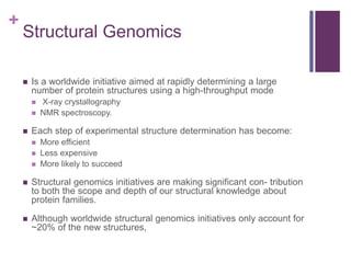 Modelling Proteins By Computational Structural Biology | PPTX