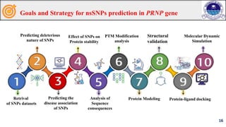 Computational Analysis of Functional SNPs in Human PRNP Gene and Prion ...