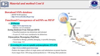 Computational Analysis of Functional SNPs in Human PRNP Gene and Prion ...