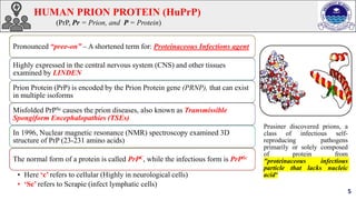 Computational Analysis of Functional SNPs in Human PRNP Gene and Prion ...