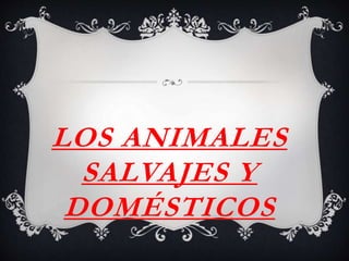 LOS ANIMALES
SALVAJES Y
DOMÉSTICOS
 