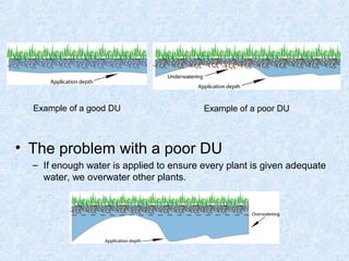 Du Examples Computation of irrigation efficiency | PPT