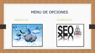 MENU DE OPCIONES 
COMPUTACION EN LA NUBE SEO (POSICIONAMIENTO WEB) 
 