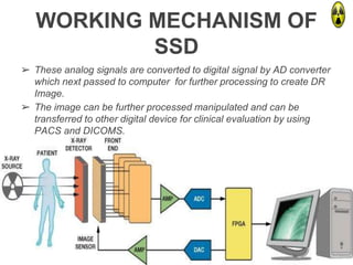 WORKING MECHANISM OF
SSD
➢ These analog signals are converted to digital signal by AD converter
which next passed to computer for further processing to create DR
Image.
➢ The image can be further processed manipulated and can be
transferred to other digital device for clinical evaluation by using
PACS and DICOMS.
➢ Such image also can be printed as hard copy whenever required.
 