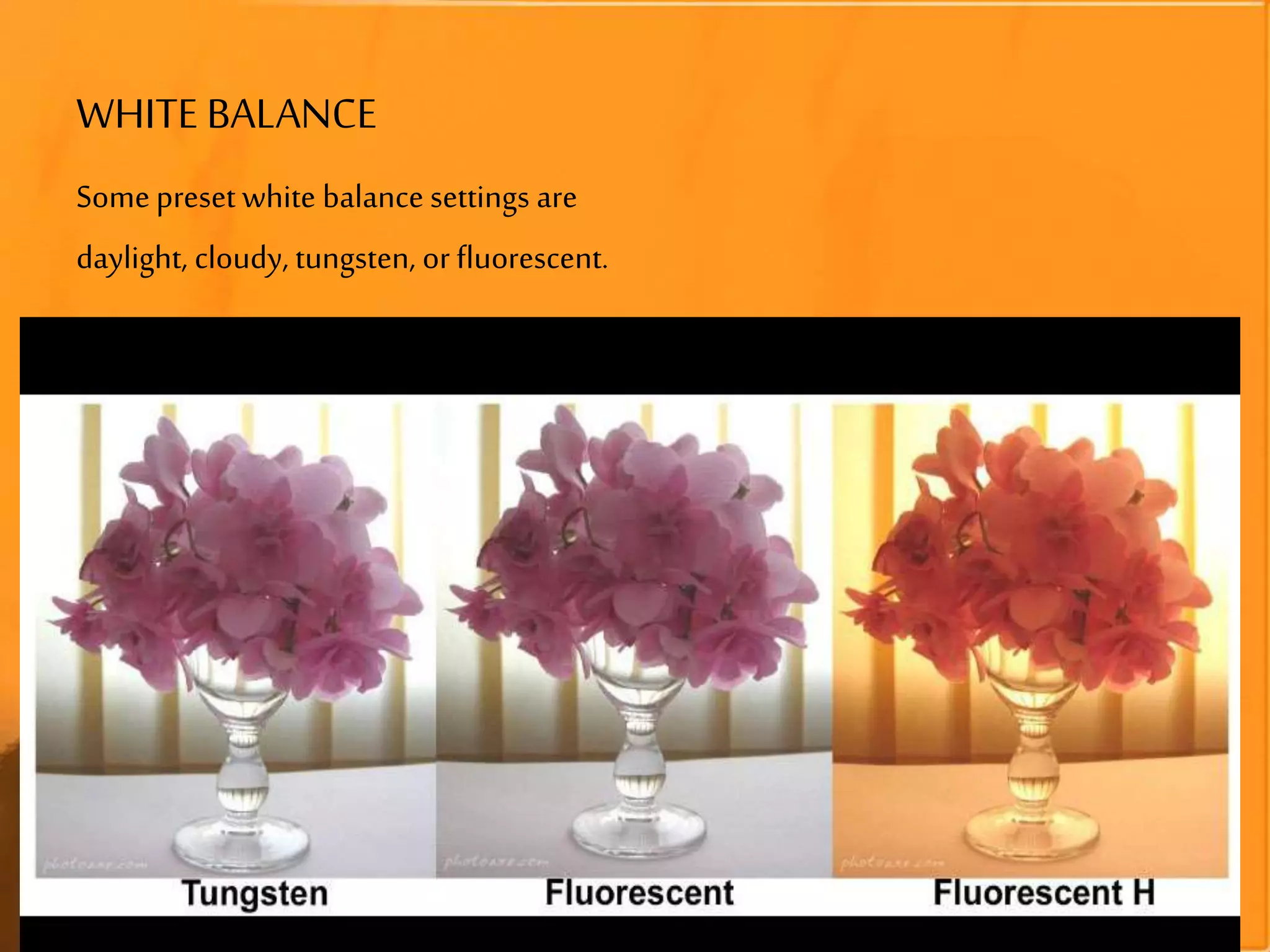 WHITE BALANCE
Somepreset white balance settings are
daylight, cloudy, tungsten, or fluorescent.
 