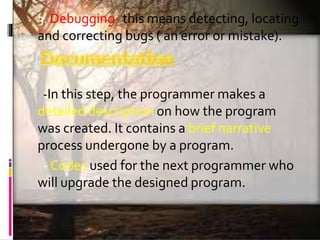 Computer Programming | PPTX