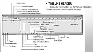 • TIMELINE HEADER
displays the frame numbers and the Playhead indicates the
indicates the current frame displayed in the Stage.
 