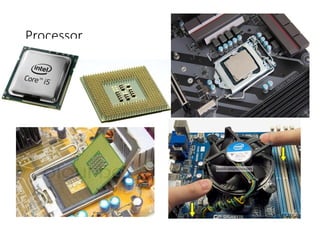 Processor
 