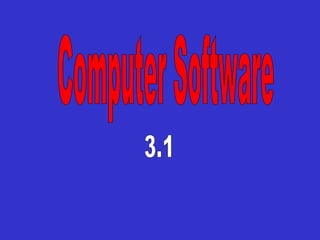 Computer Software  3.1 