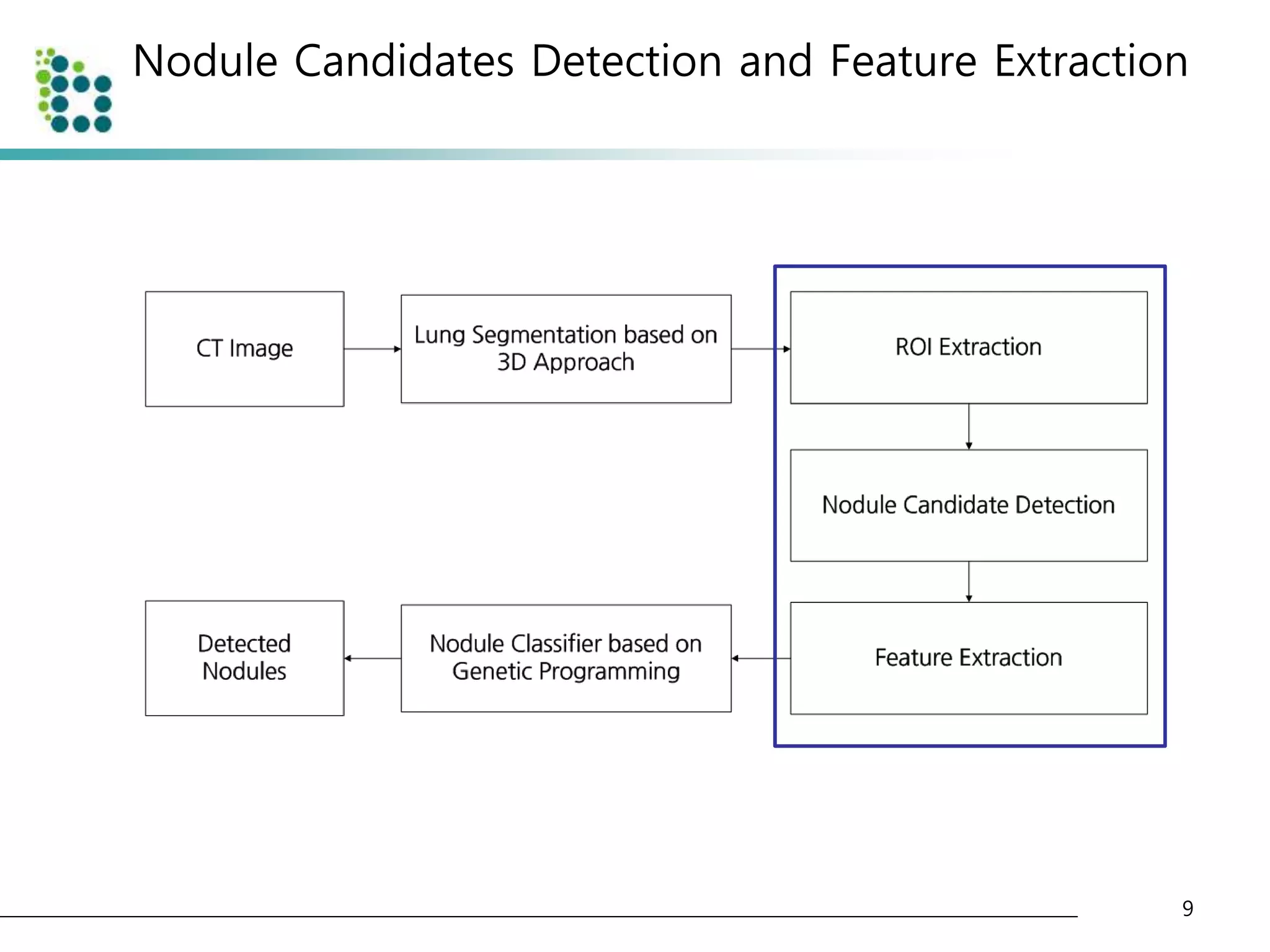 Nodule Candidates Detection and Feature Extraction 
9 
 