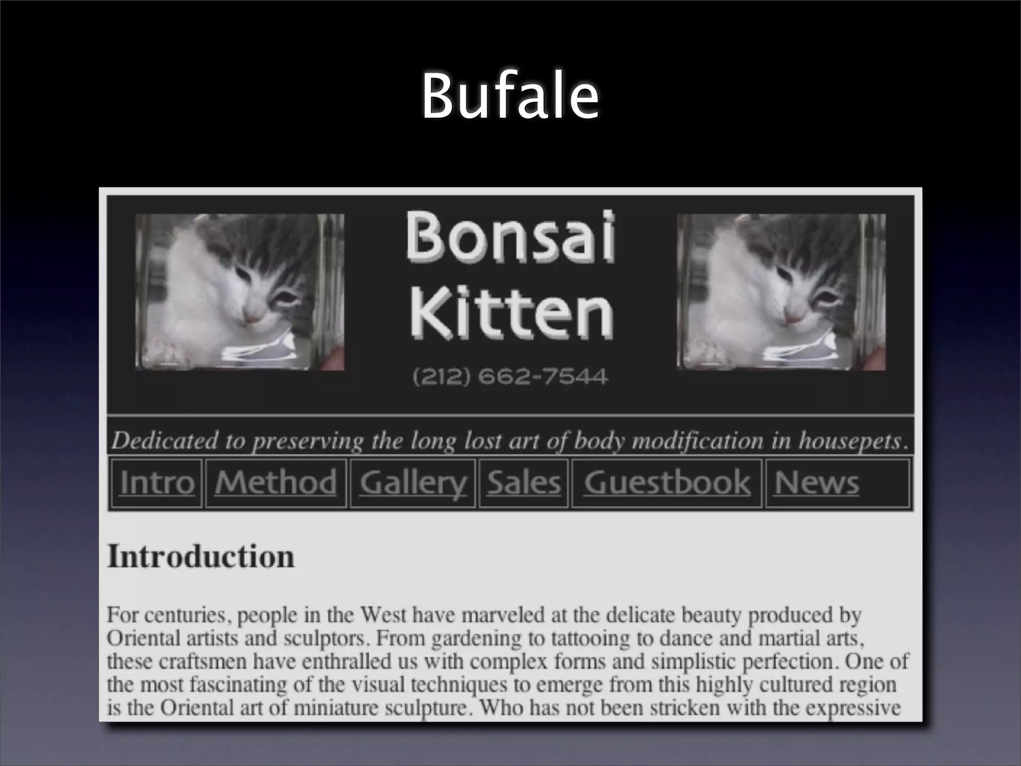 Computer Assisted Reporting (Redacted)