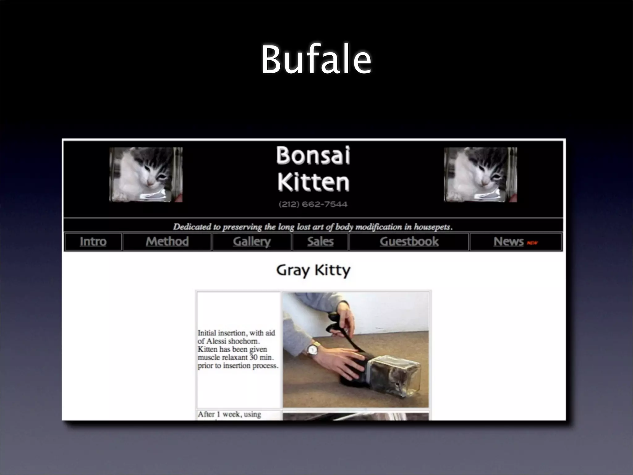 Computer Assisted Reporting (Redacted)