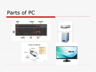 Comprehensive Introduction to Computer Basics and Software | PPT