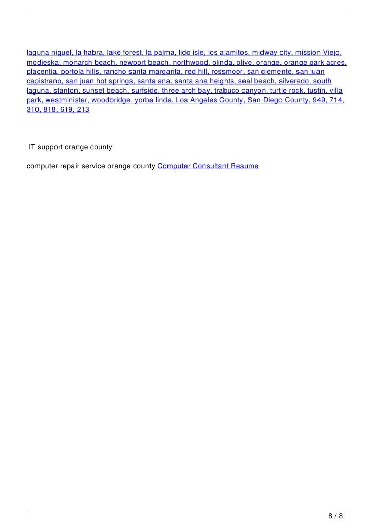 computer consultant resume