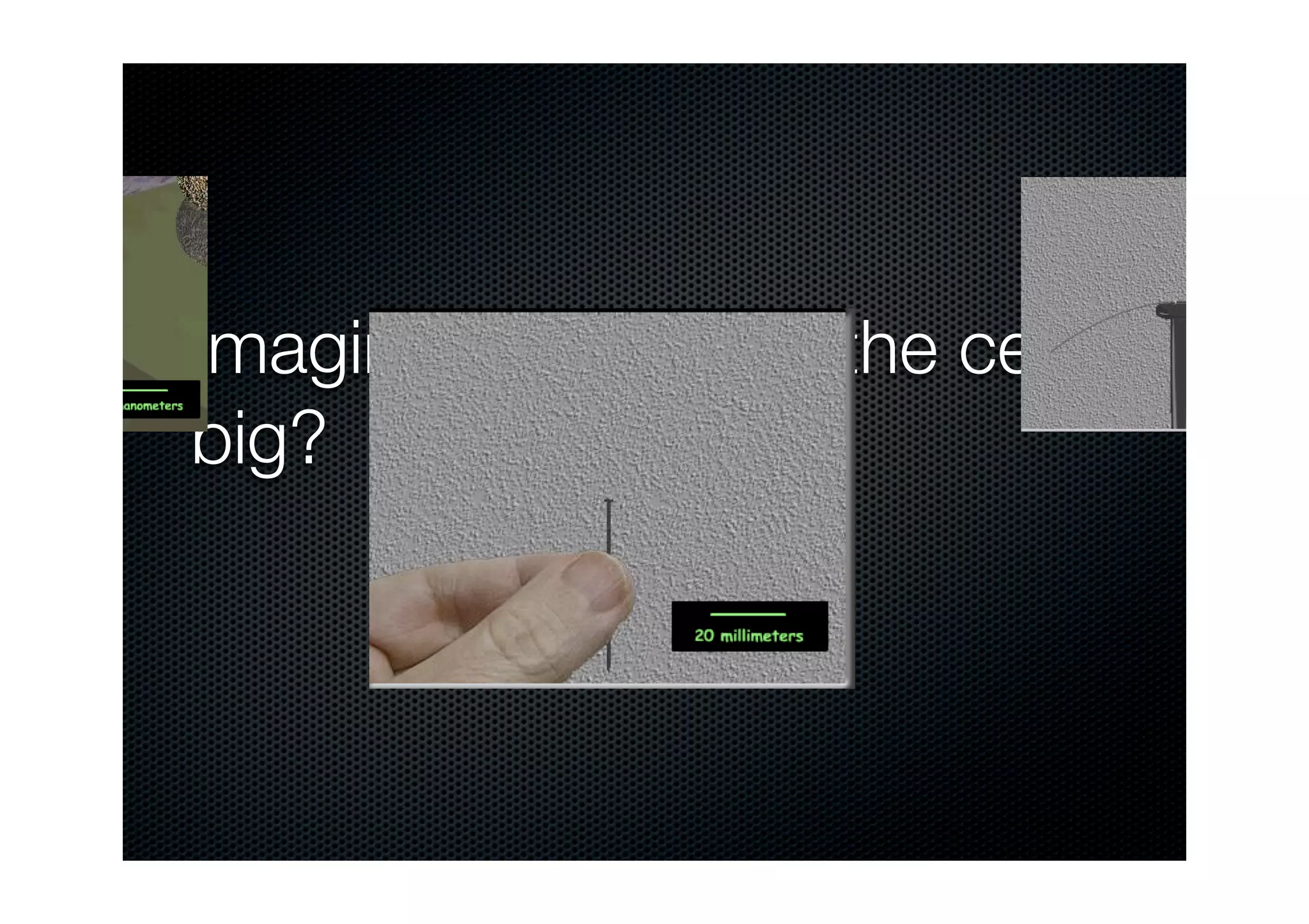 computer-for-biological-research-ppt