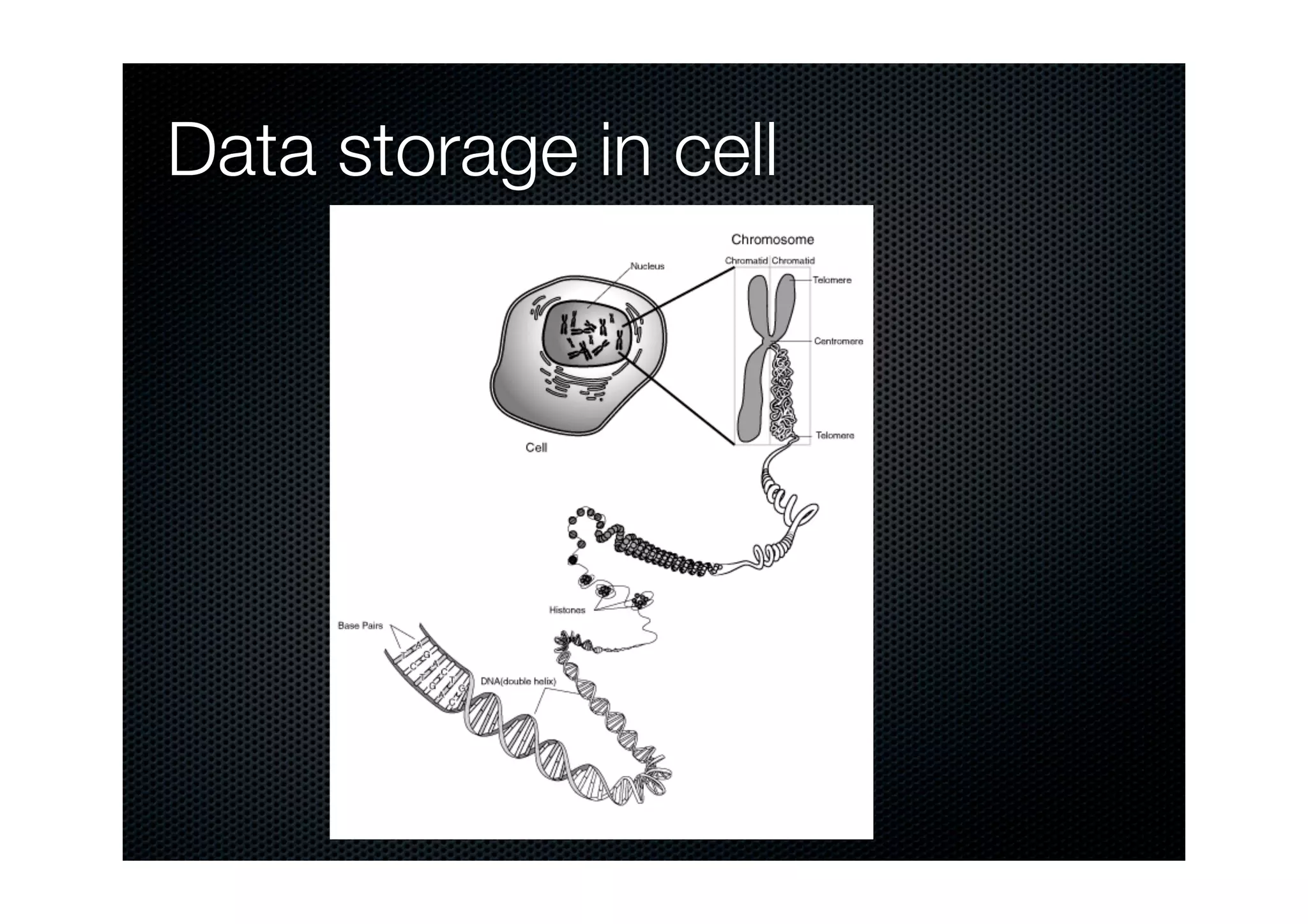computer-for-biological-research-ppt