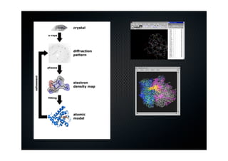 Computer for Biological Research | PDF
