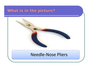 Computer Needle Computer-hardware-tools PPT.pptx