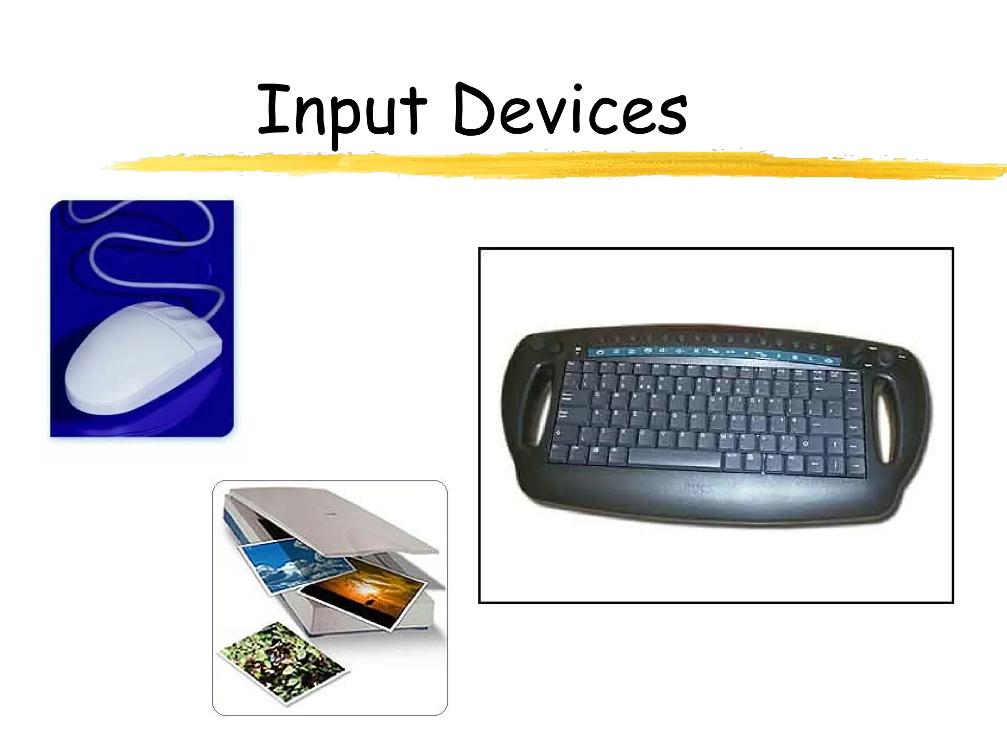 Input Devices
 