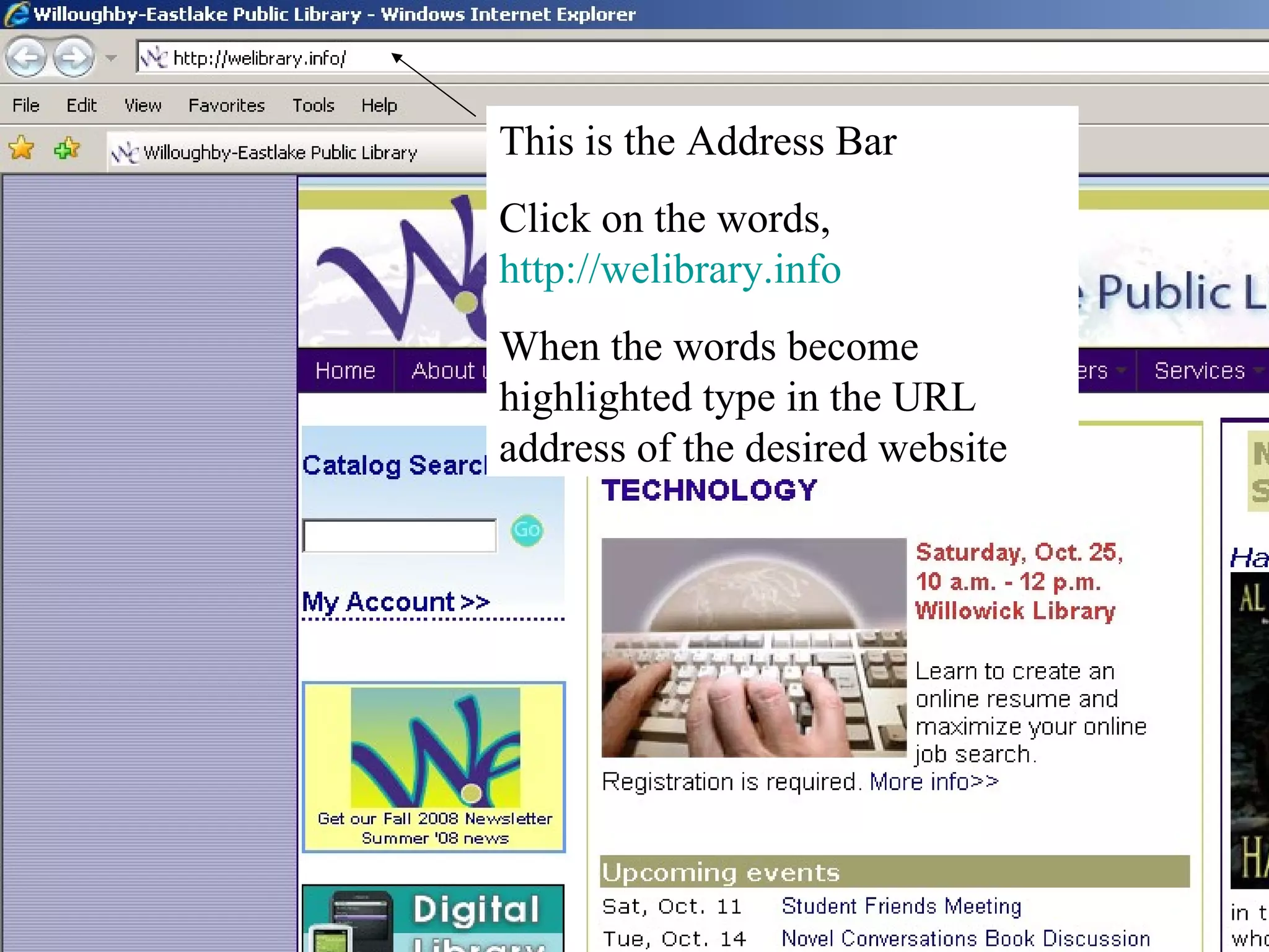 This is the Address Bar Click on the words,  http://welibrary.info   When the words become highlighted type in the URL address of the desired website 