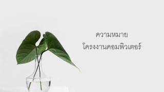 ความหมาย
โครงงานคอมพิวเตอร์
 