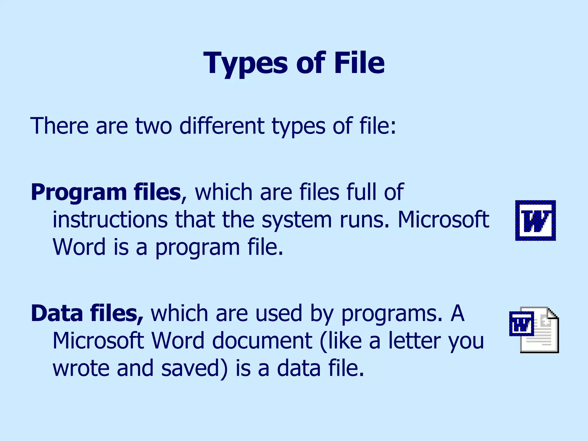 Types of File There are two different types of file: Program files , which are files full of instructions that the system runs. Microsoft Word is a program file. Data files,  which are used by programs. A Microsoft Word document (like a letter you wrote and saved) is a data file. 