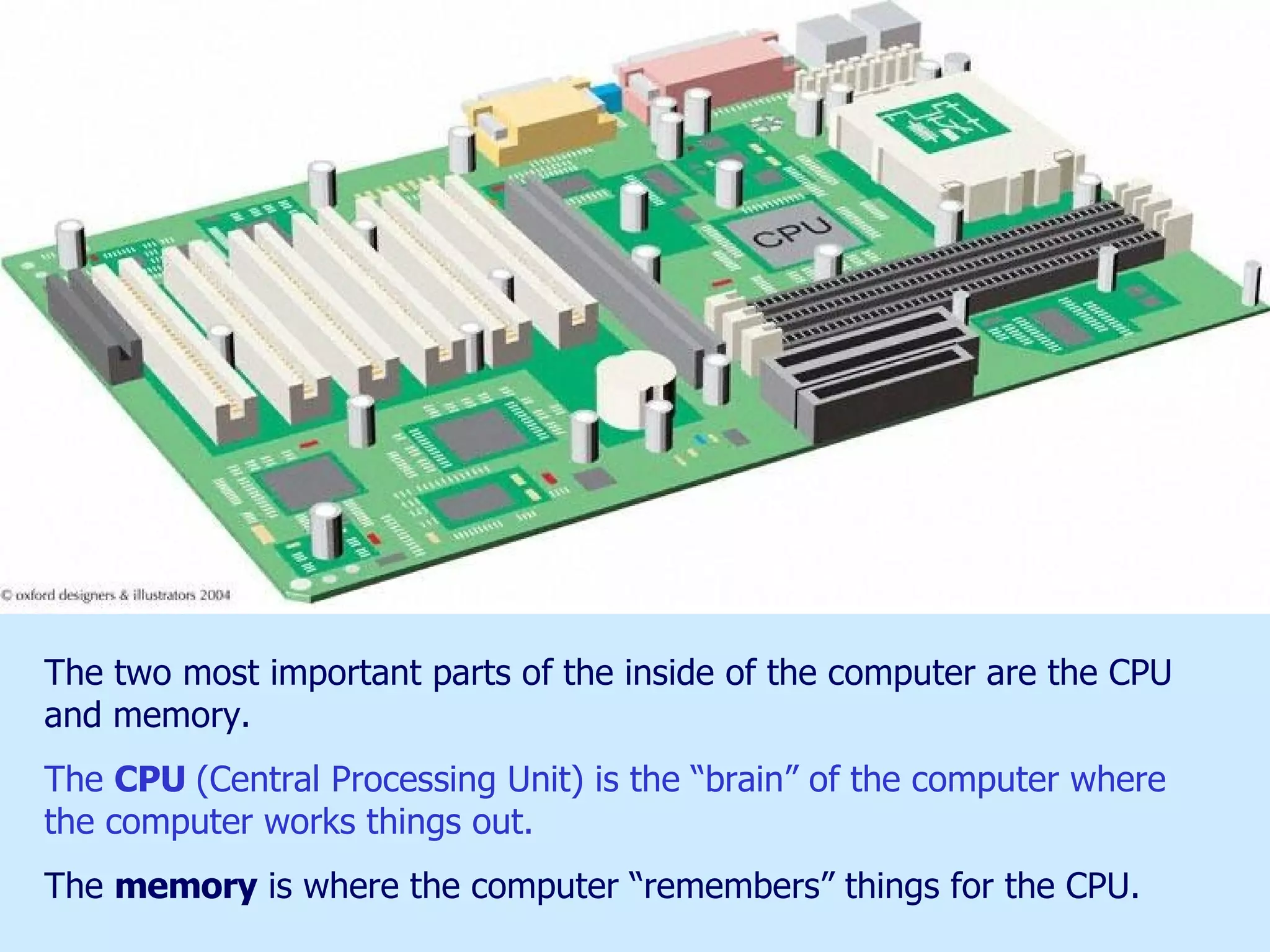 The two most important parts of the inside of the computer are the CPU and memory.  The  CPU  (Central Processing Unit) is the “brain” of the computer where the computer works things out. The  memory  is where the computer “remembers” things for the CPU.  