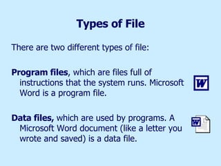 Types of File There are two different types of file: Program files , which are files full of instructions that the system runs. Microsoft Word is a program file. Data files,  which are used by programs. A Microsoft Word document (like a letter you wrote and saved) is a data file. 