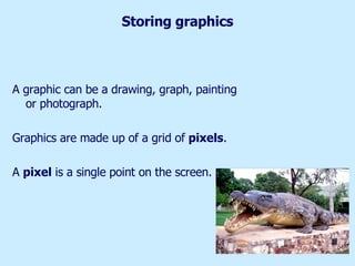 Storing graphics A graphic can be a drawing, graph, painting or photograph.  Graphics are made up of a grid of  pixels . A  pixel  is a single point on the screen. 
