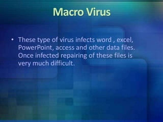 Computer Viruses 30665787 Pptx