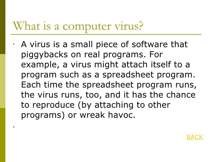 Computer Viruses