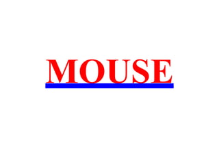 MOUSE
 