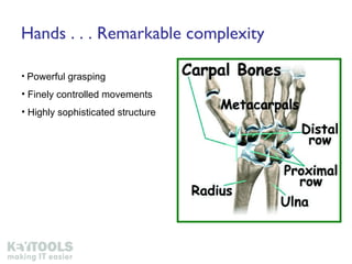 Hands . . . Remarkable complexity Powerful grasping Finely controlled movements Highly sophisticated structure 