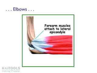 . . . Elbows . . . 