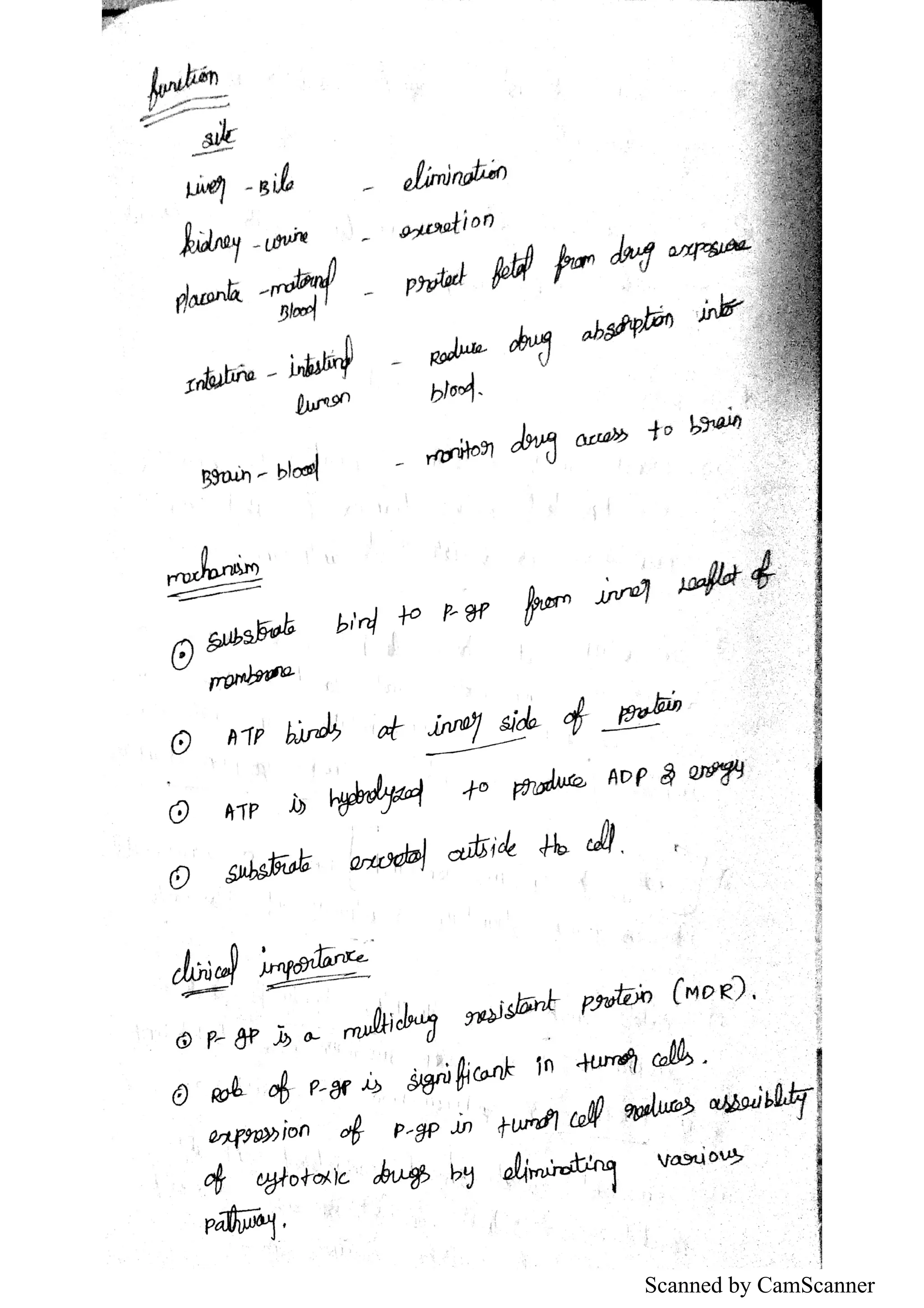 Scanned by CamScanner