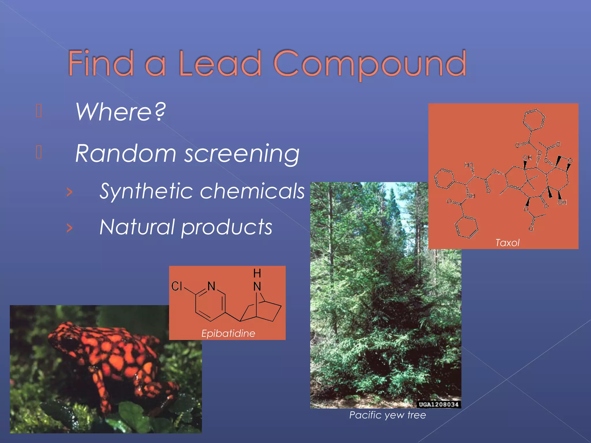  Where?
 Random screening
› Synthetic chemicals
› Natural products
Epibatidine
Pacific yew tree
Taxol
 