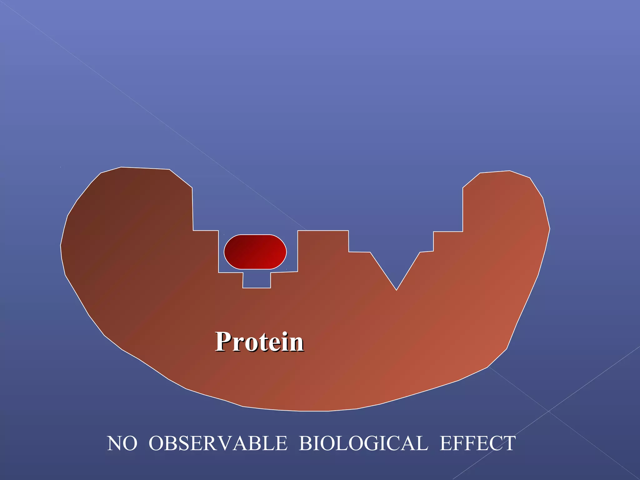 ProteinProtein
NO OBSERVABLE BIOLOGICAL EFFECT
 