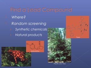  Where?
 Random screening
› Synthetic chemicals
› Natural products
Epibatidine
Pacific yew tree
Taxol
 