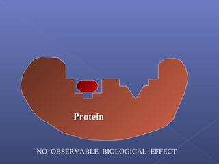 ProteinProtein
NO OBSERVABLE BIOLOGICAL EFFECT
 