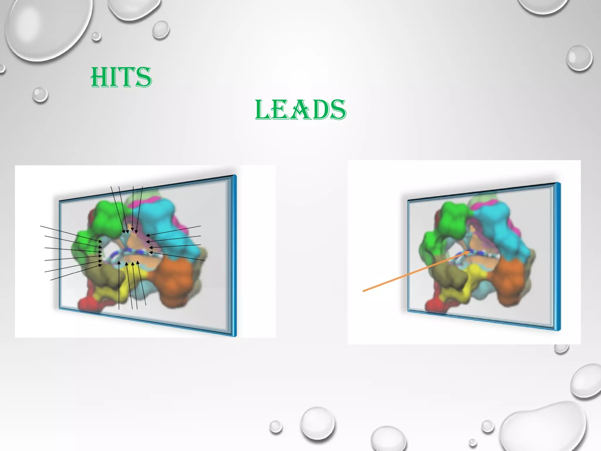HITS
LEADS
 