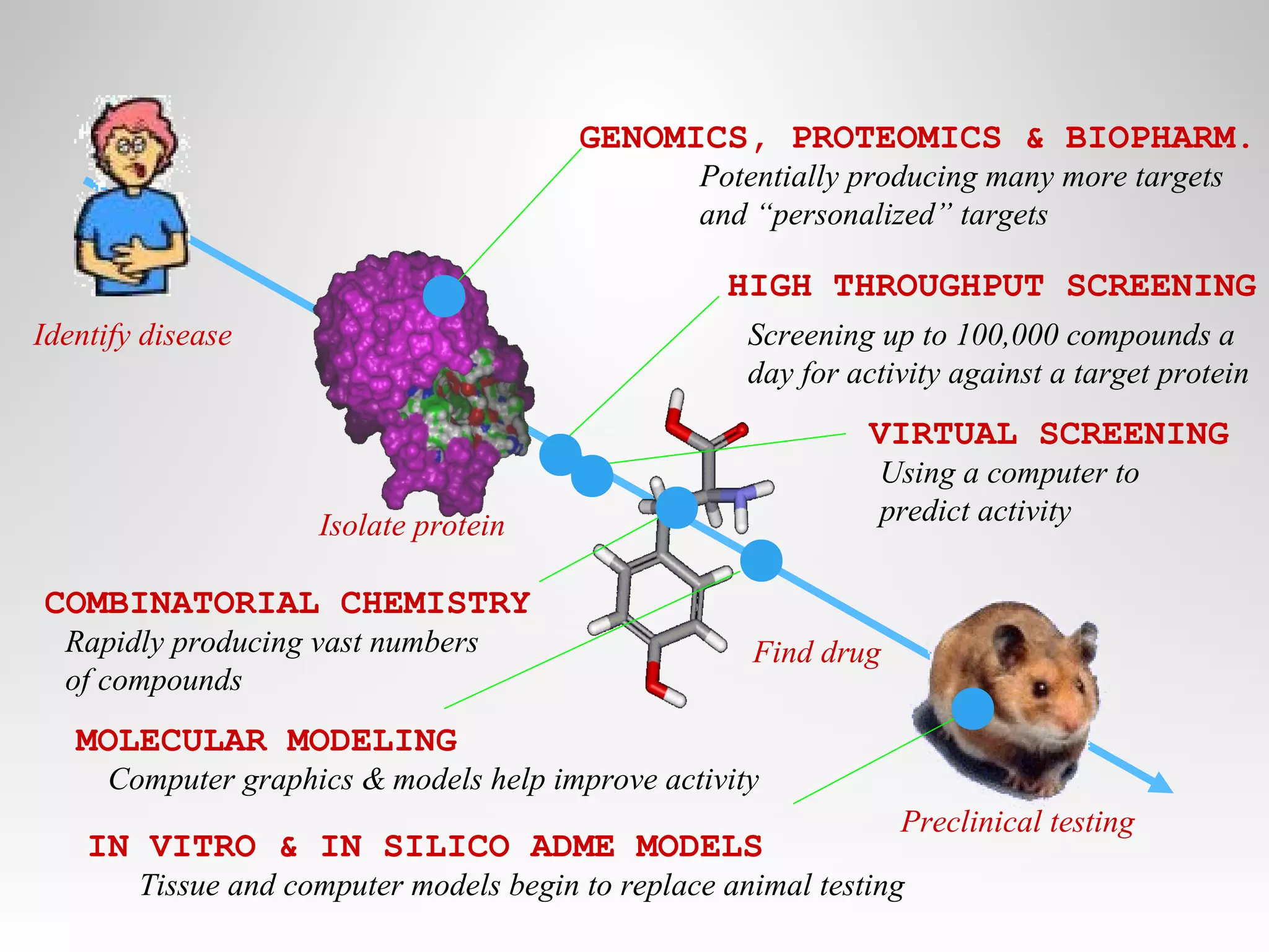 Identify disease
Isolate protein
Find drug
Preclinical testing
GENOMICS, PROTEOMICS & BIOPHARM.
HIGH THROUGHPUT SCREENING
MOLECULAR MODELING
VIRTUAL SCREENING
COMBINATORIAL CHEMISTRY
IN VITRO & IN SILICO ADME MODELS
Potentially producing many more targets
and “personalized” targets
Screening up to 100,000 compounds a
day for activity against a target protein
Using a computer to
predict activity
Rapidly producing vast numbers
of compounds
Computer graphics & models help improve activity
Tissue and computer models begin to replace animal testing
 