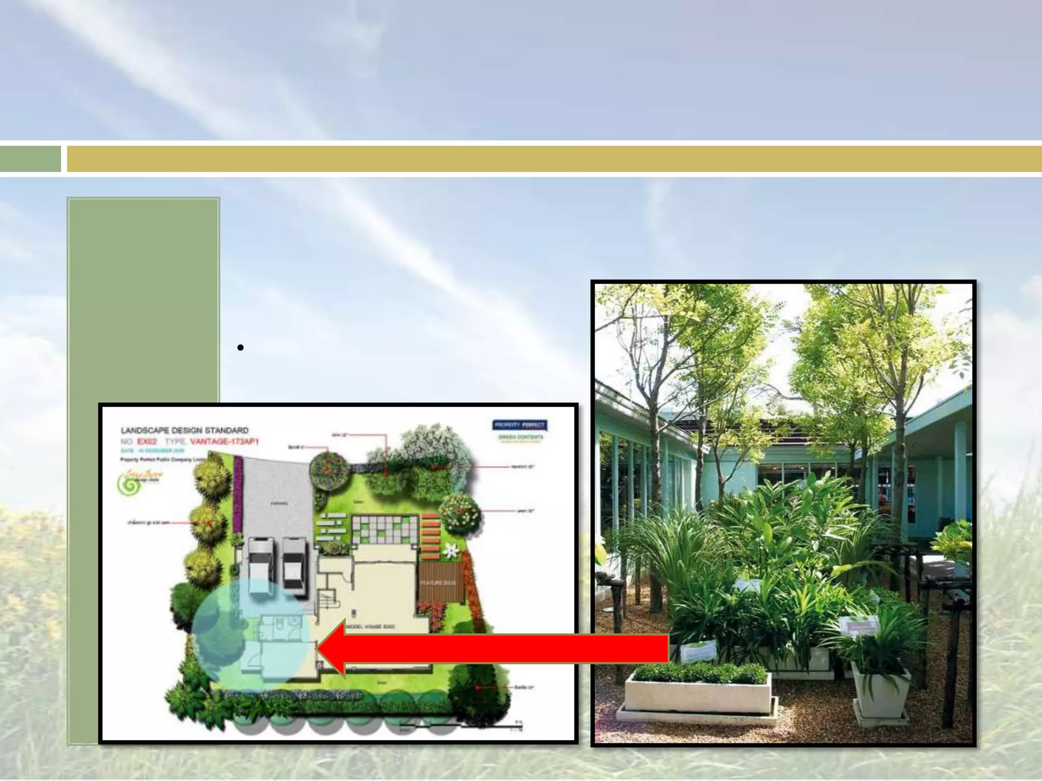 พื้นที่บริการหรือการปฏิบัติงาน  มีหน้าที่คล้ายๆครัวประกอบด้วยส่วนเก็บเครื่องมืออุปกรณ์