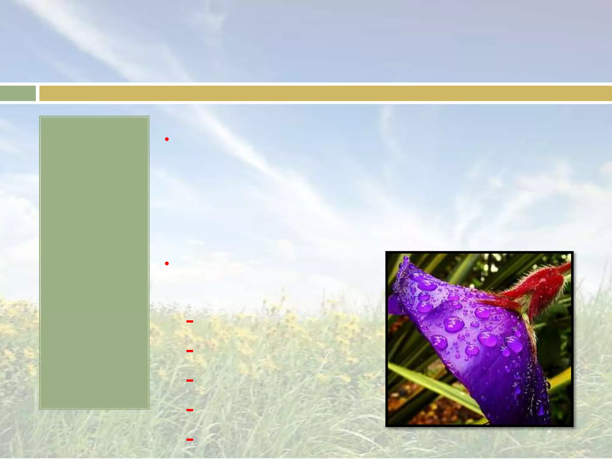 สวนบาหลี