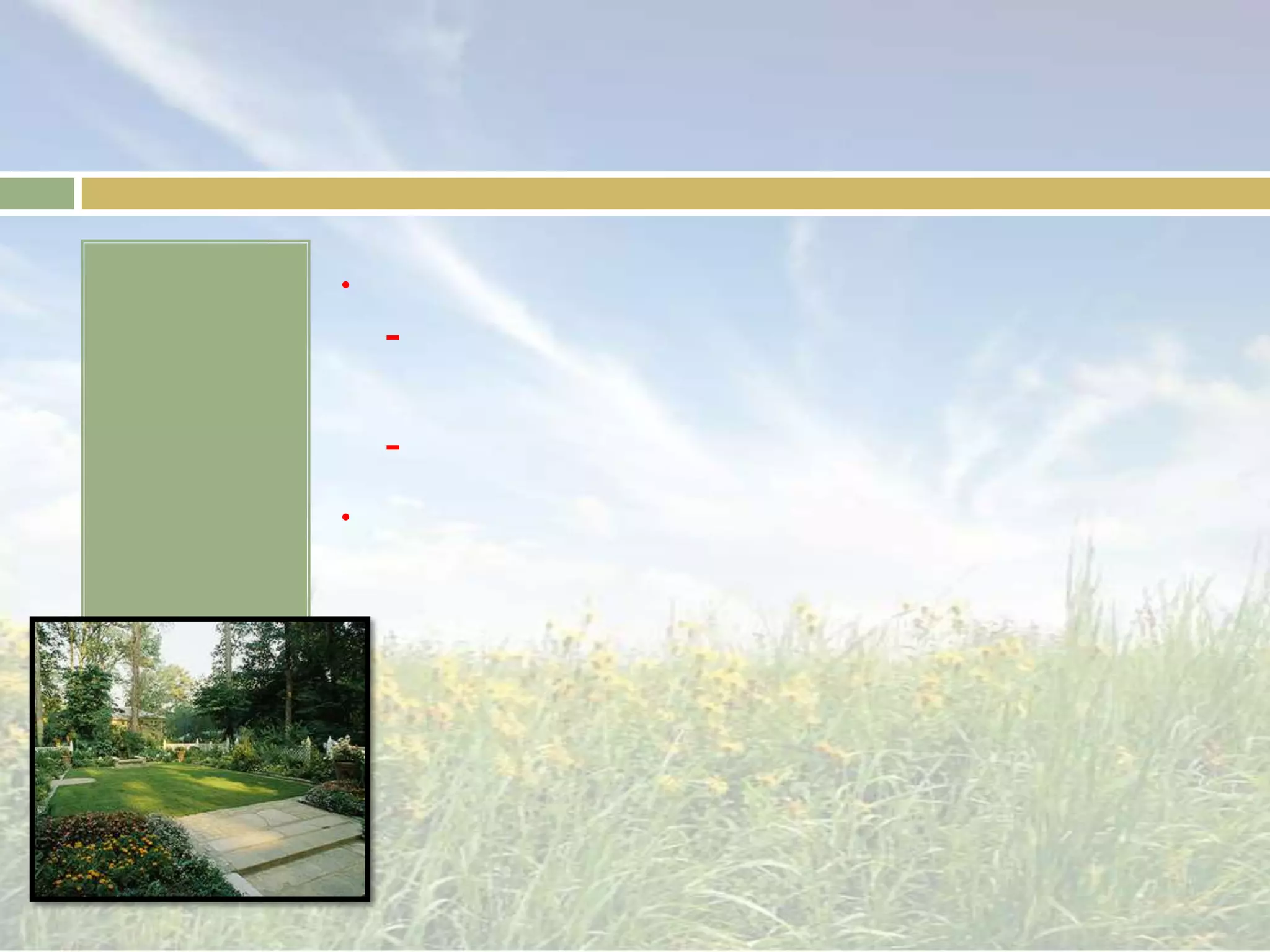 สวนญี่ปุ่น