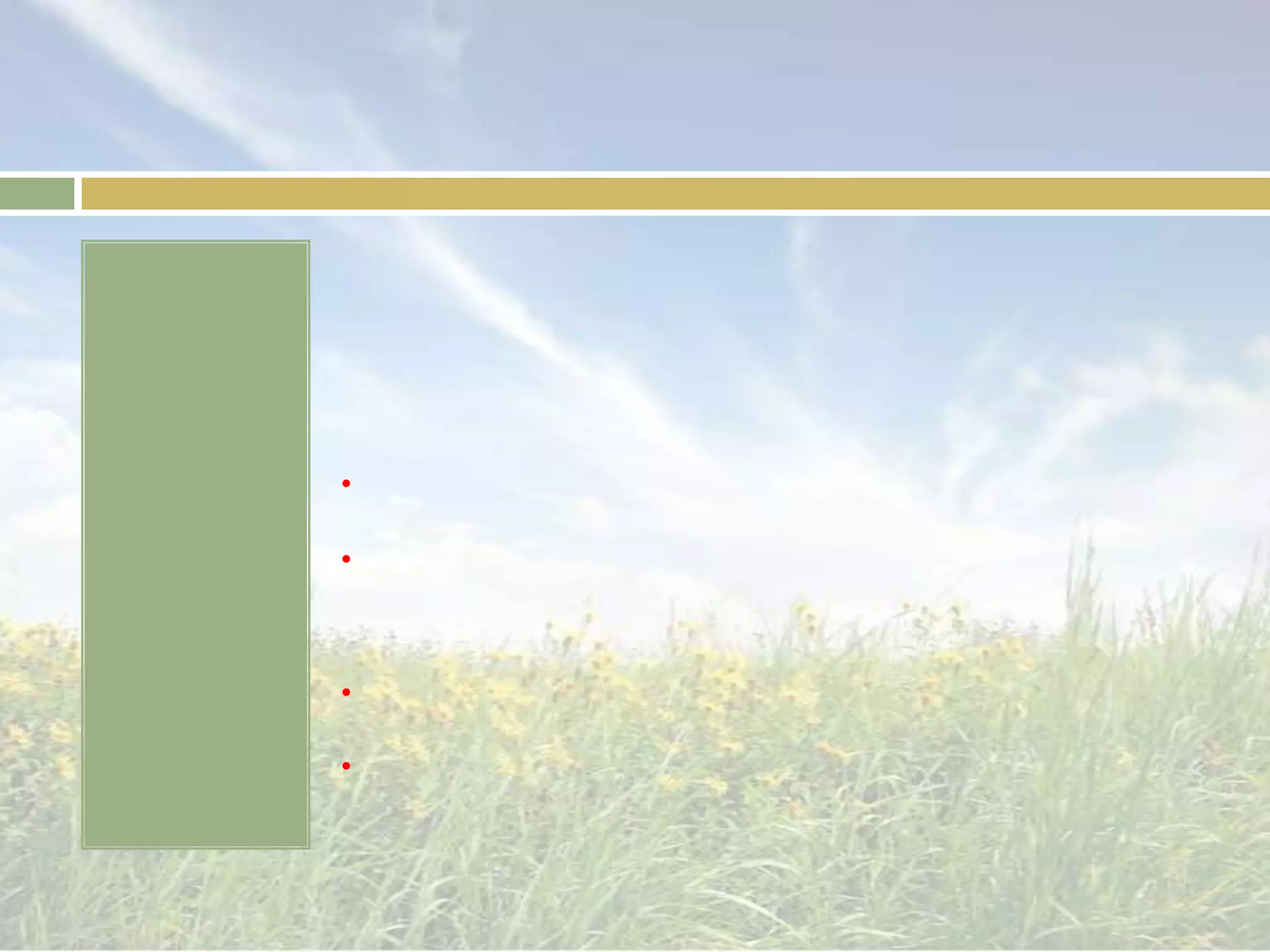 สวนโมเดิร์น