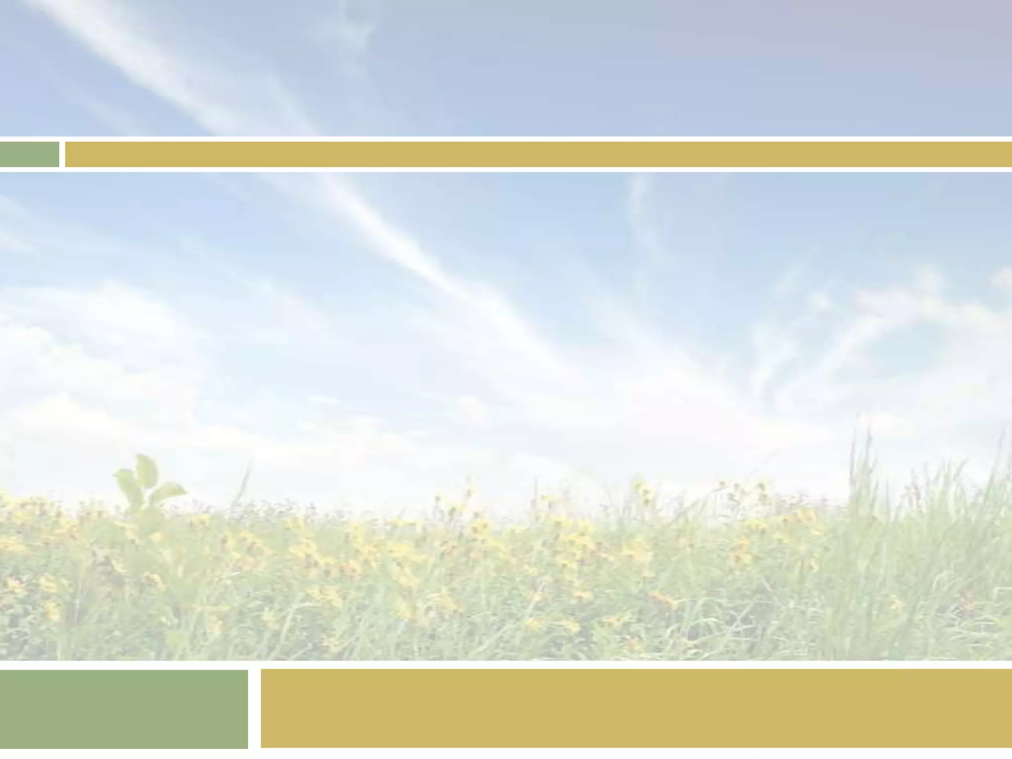 สวนธรรมชาติ