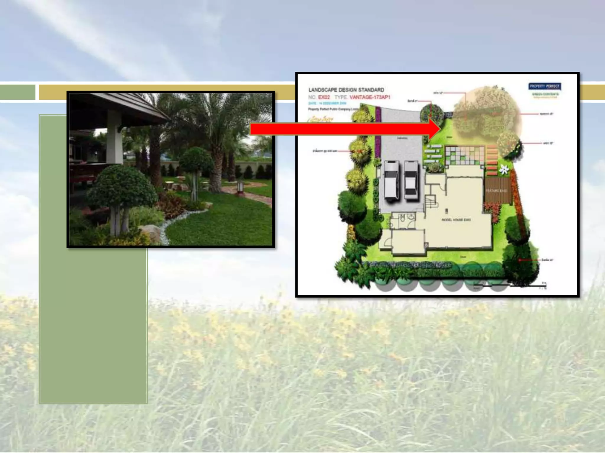 การแบ่งพื้นที่ของสวนบ้านพื้นที่ส่วนหน้า หรือ ส่วนสาธารณะ จะเป็นส่วนโชว์ การจัดสวน ส่วนนี้ควรจะเป็นสนามเปิด เป็นส่วนใหญ่ ต้นไม้ไม่มาก จะเสริมให้ บ้าน ดูสง่ามีคุณค่ามากขึ้น เป็นส่วนของพื้นที่ที่ติดถนน